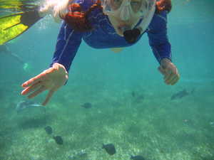 Jane snorkels by.