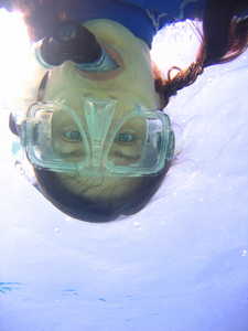 up-side down