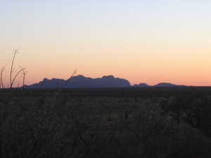 IMG_2078.jpg