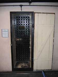cell17.jpg