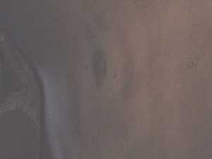hand.jpg